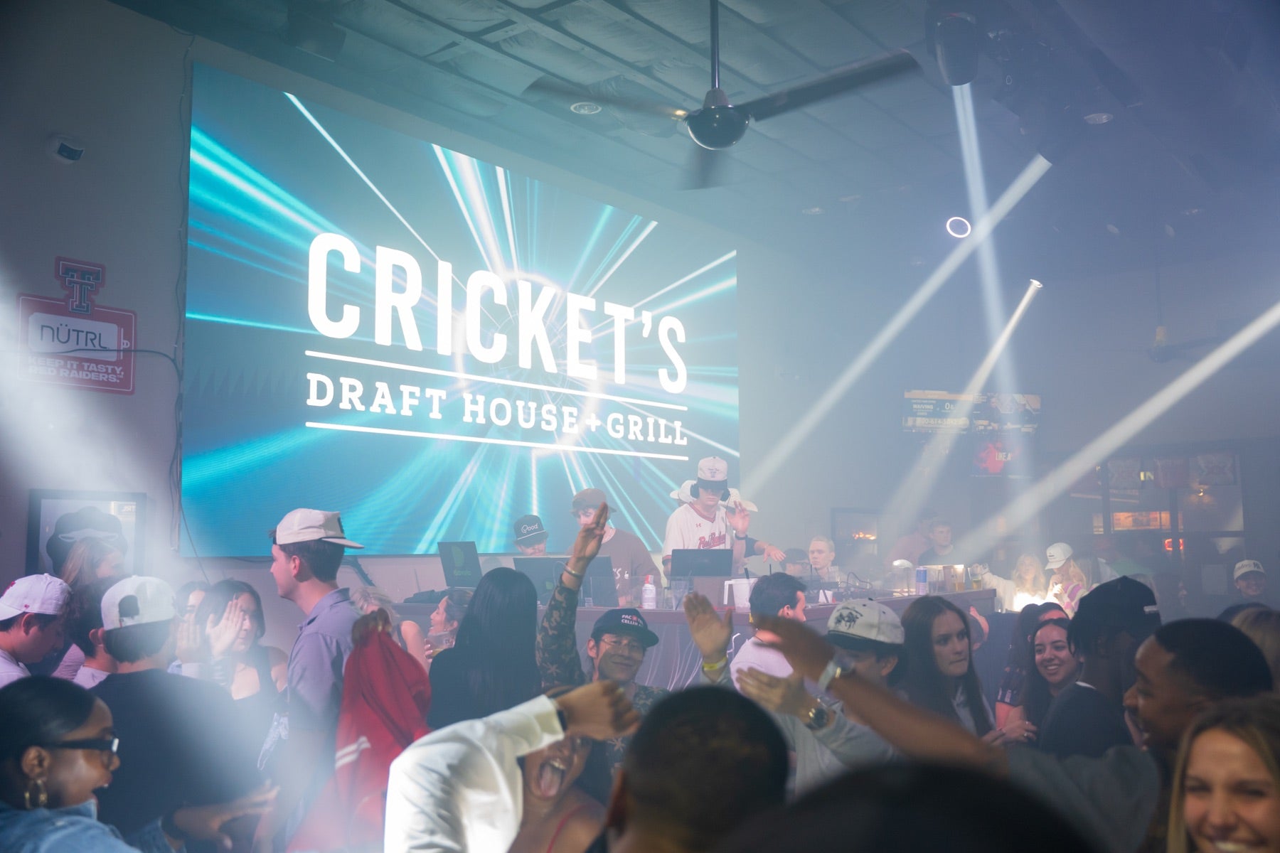 Crickets night
