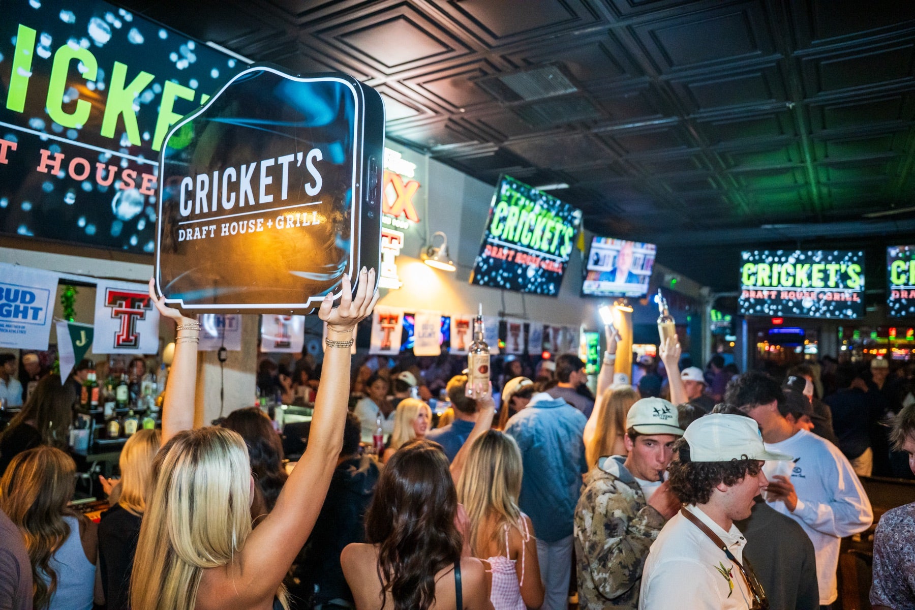 Crickets night
