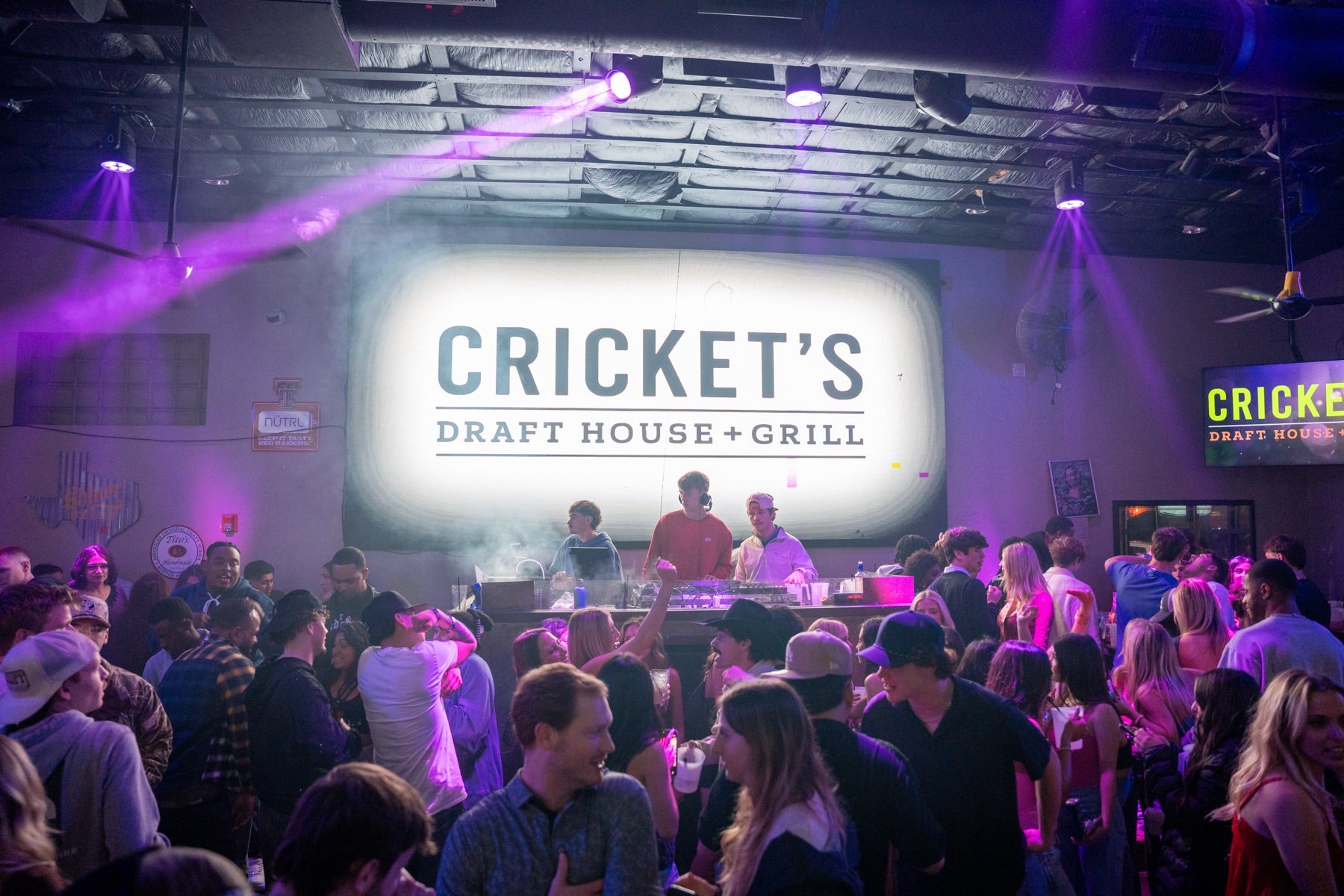 Crickets night